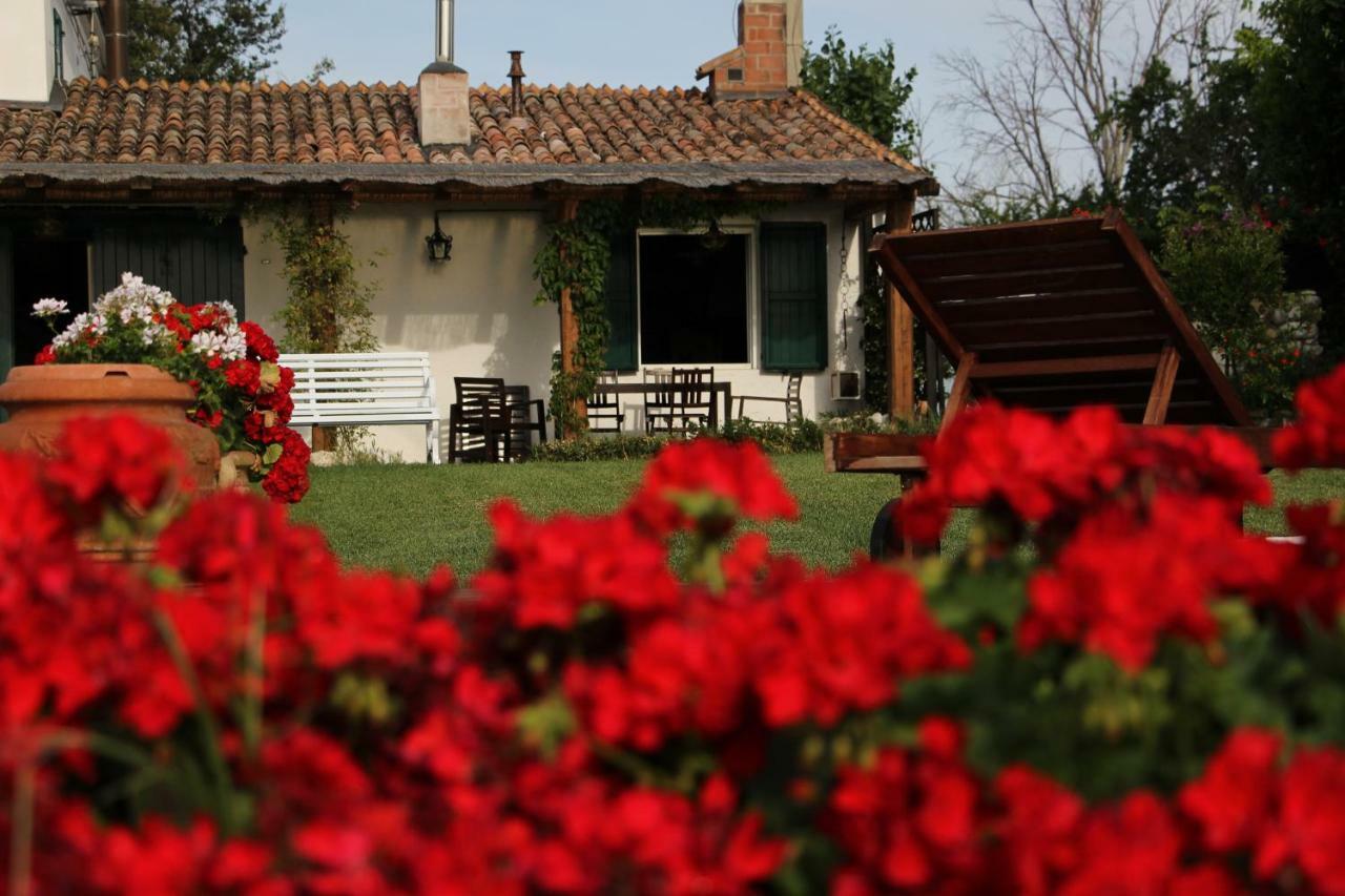 Casa S.Paolo Villa Rimini Luaran gambar